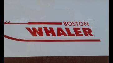 BOSTON WHALER 15 SPORT